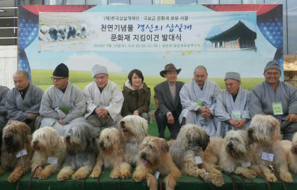 천연기념물 삽살개, 사찰 문화재 지킨다